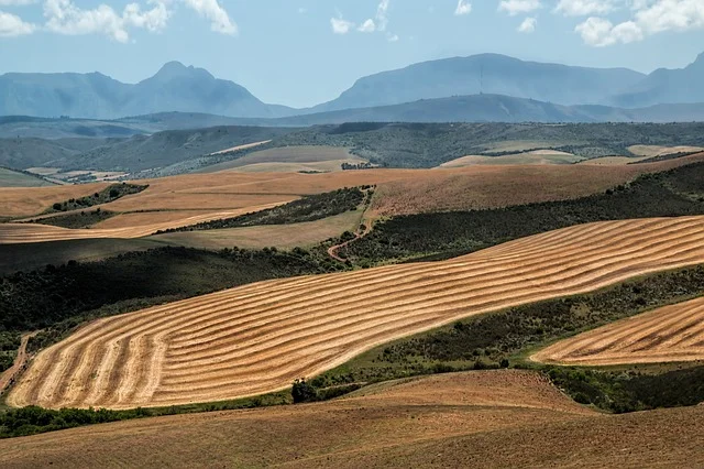 Condifesa nord sardegna - sassari