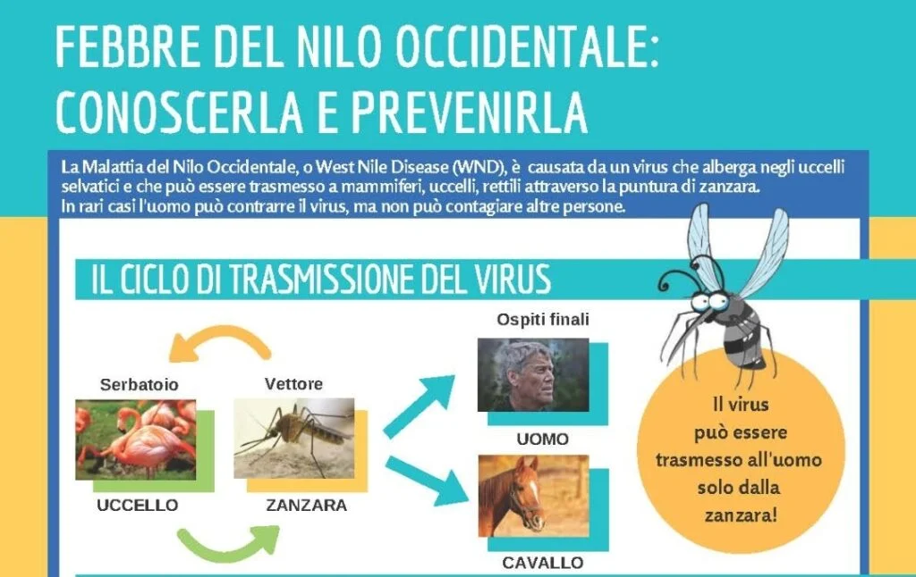 Adozione misure e prevenzione per il controllo dell'influenza Febbre del Nilo Occidentale